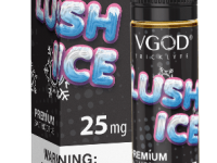 VGod | Lush Ice Salt 30ml