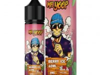 Mr Yoop | Berry Ice 60ml