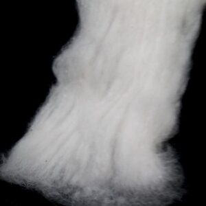 The Cotton Man | Mavaton X Algodão 100% Orgânico