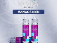 Magna | Mangosteen Ice 60ml