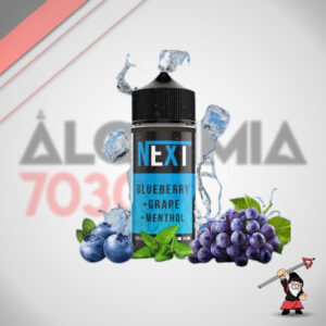 Next | Blueberry Grape Menthol 30ml/100ml