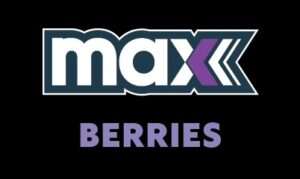 Alquimia7030 berries ice 3 2 11zon